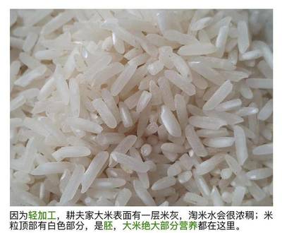 [籼米籼米 大米 优质稻 金玉软香米价格38袋