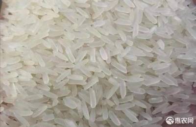 [东北大米东北大米 一等品 一季稻 粳米价格5斤